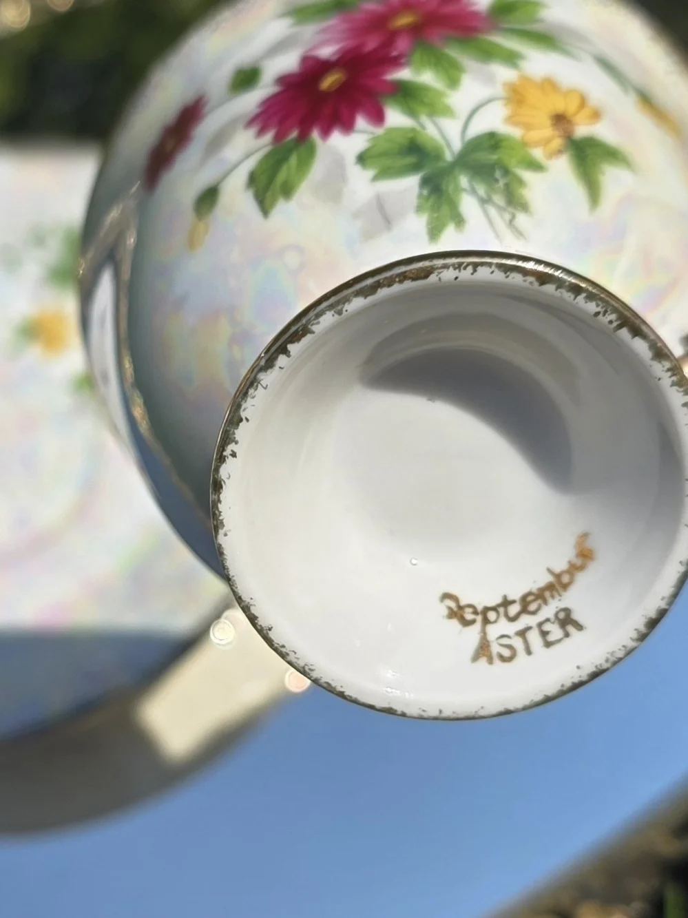 Ucagco September Aster, Vintage Teacup And Saucer  Set